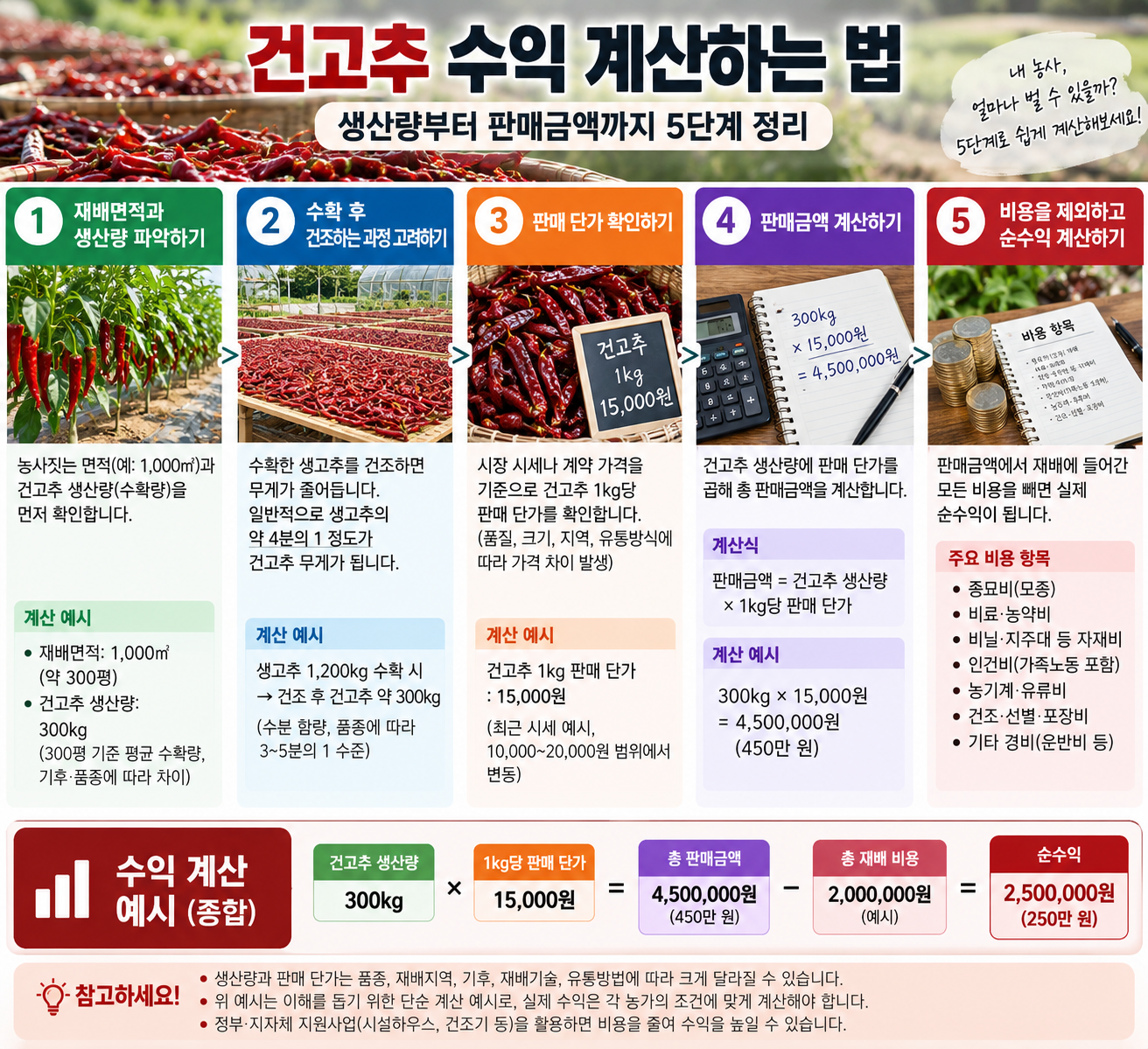 건고추-수익-계산-5단계-안내도.png