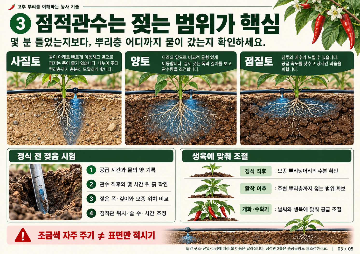 03-고추-점적관수와-뿌리층-젖음-범위-3.png