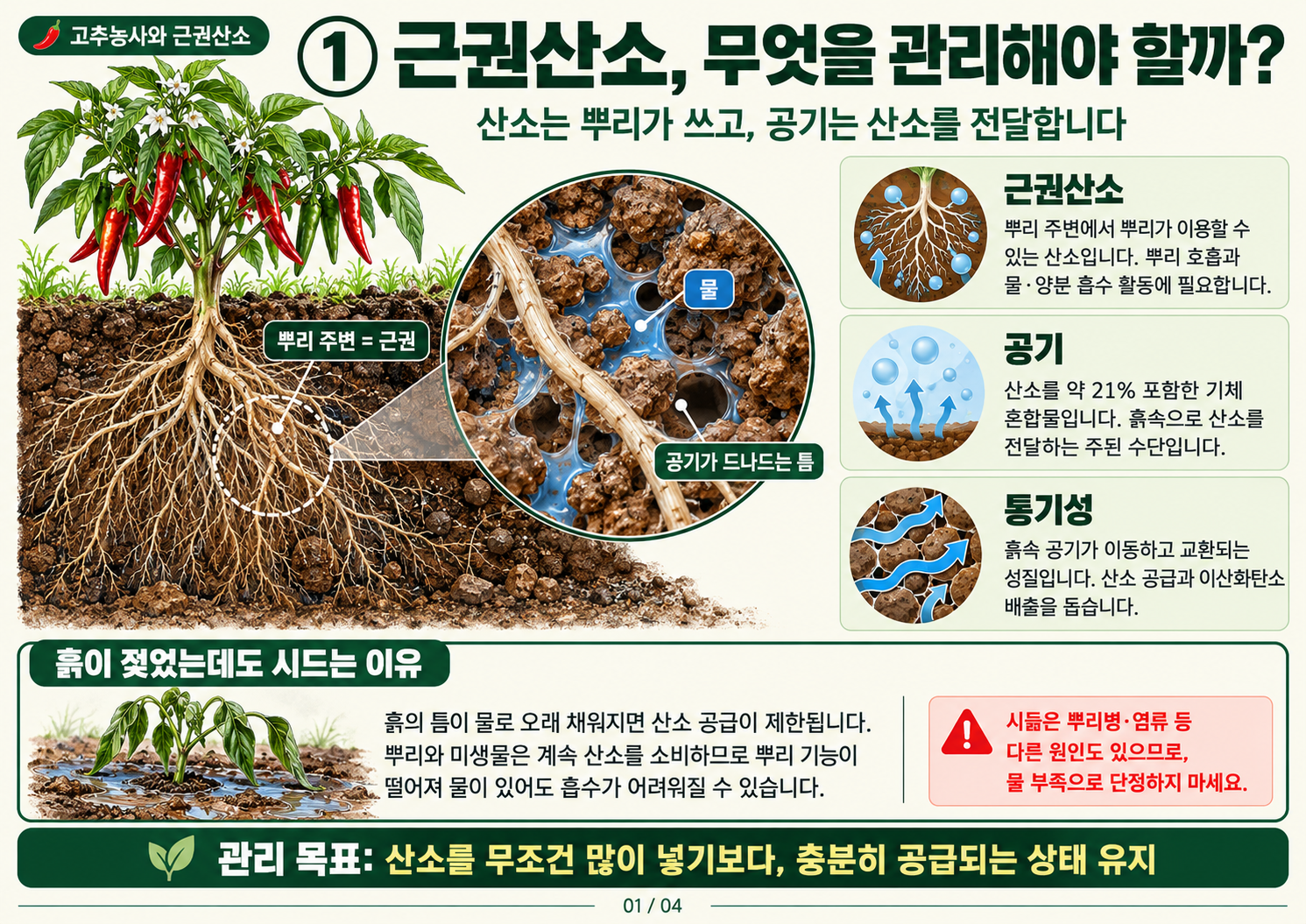 00_근권산소의_개념.png