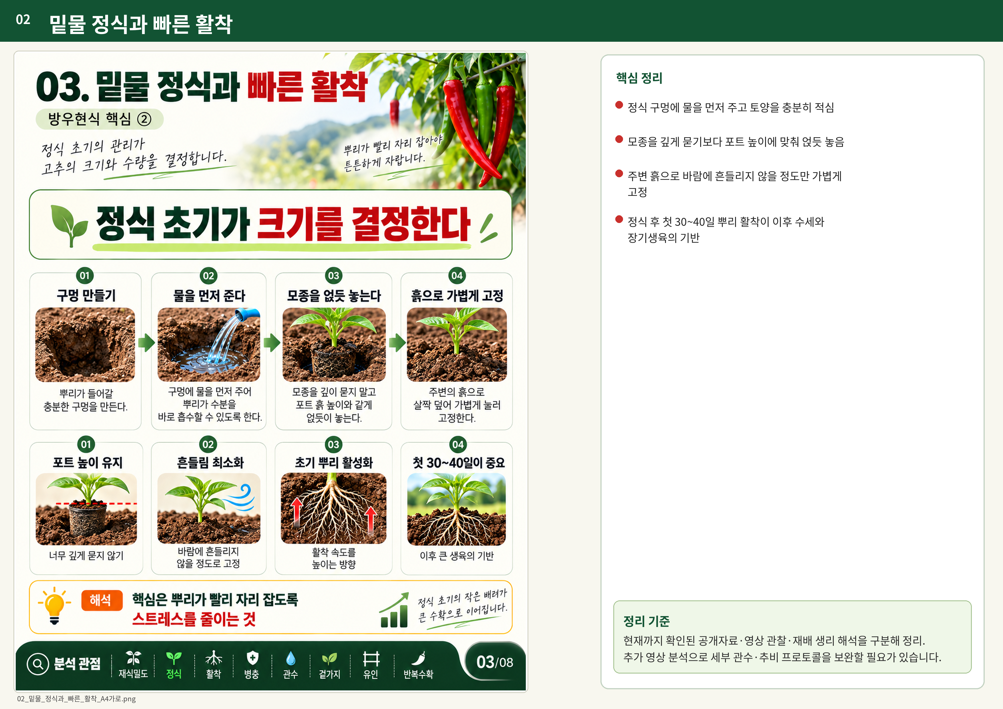 02_밑물_정식과_빠른_활착_A4가로.png