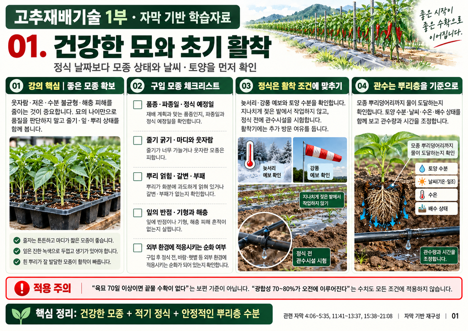 01_고추재배교육_모종과초기활착.png