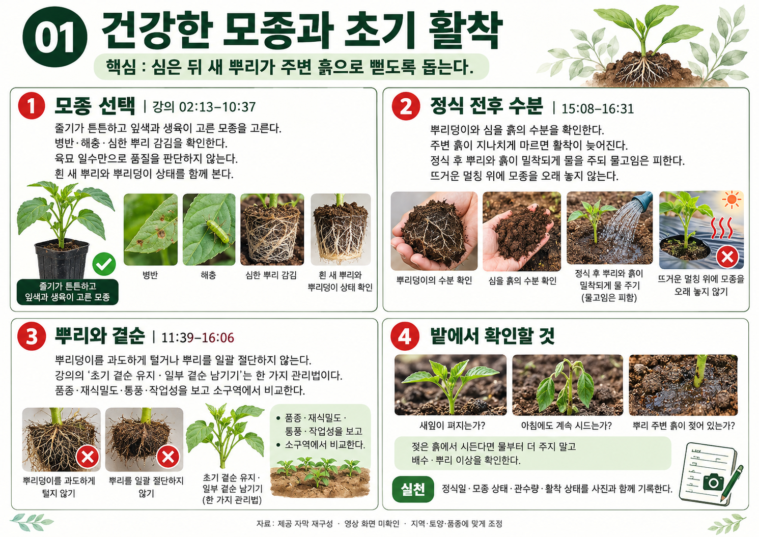 01_고추재배교육_모종과활착.png