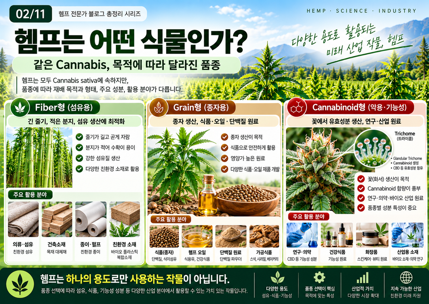 02-헴프-식물과-산업-활용-인포그래픽.png