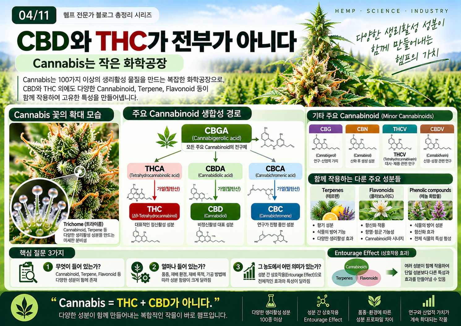04-0CBD와-THC-너머의-헴프-화학-지도.png