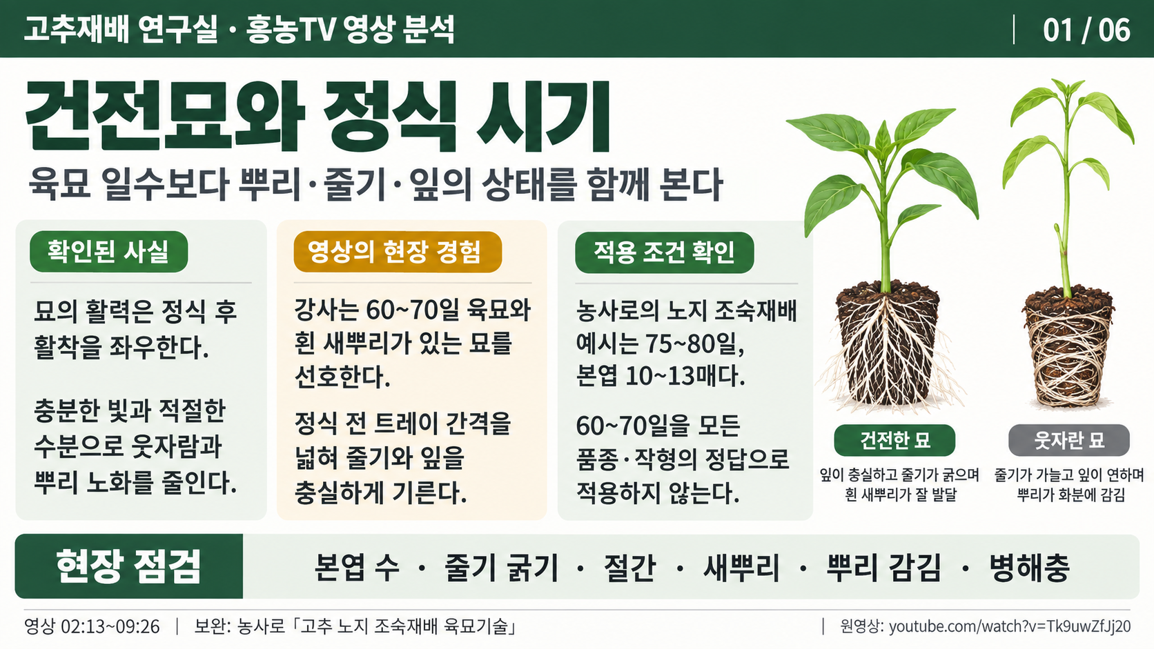 01_고추_건전묘와_정식_연구.png