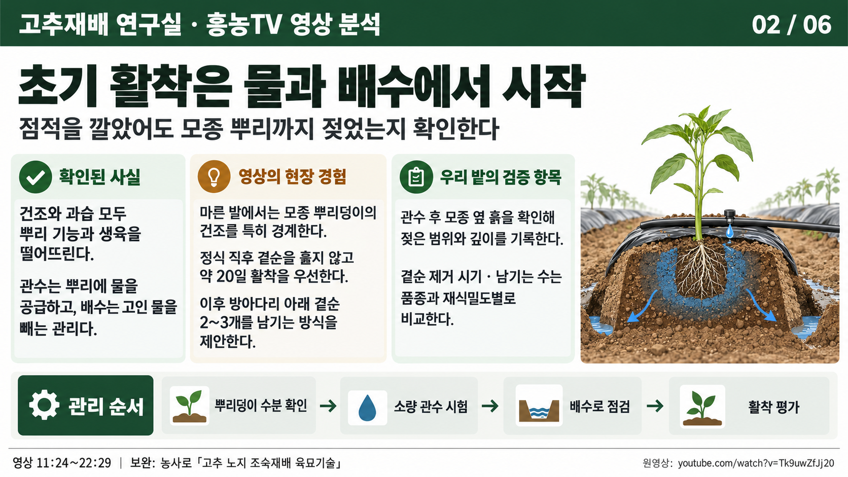 02_고추_초기활착_관수와_배수.png