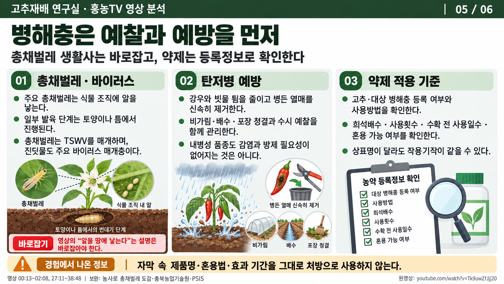 05_고추_총채벌레와_탄저병_예방.png