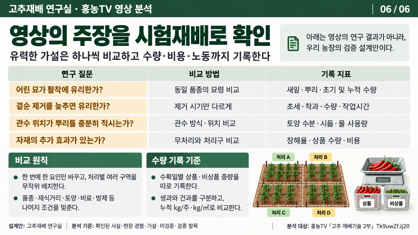 06_고추_시험재배_비교와_수량기록.png