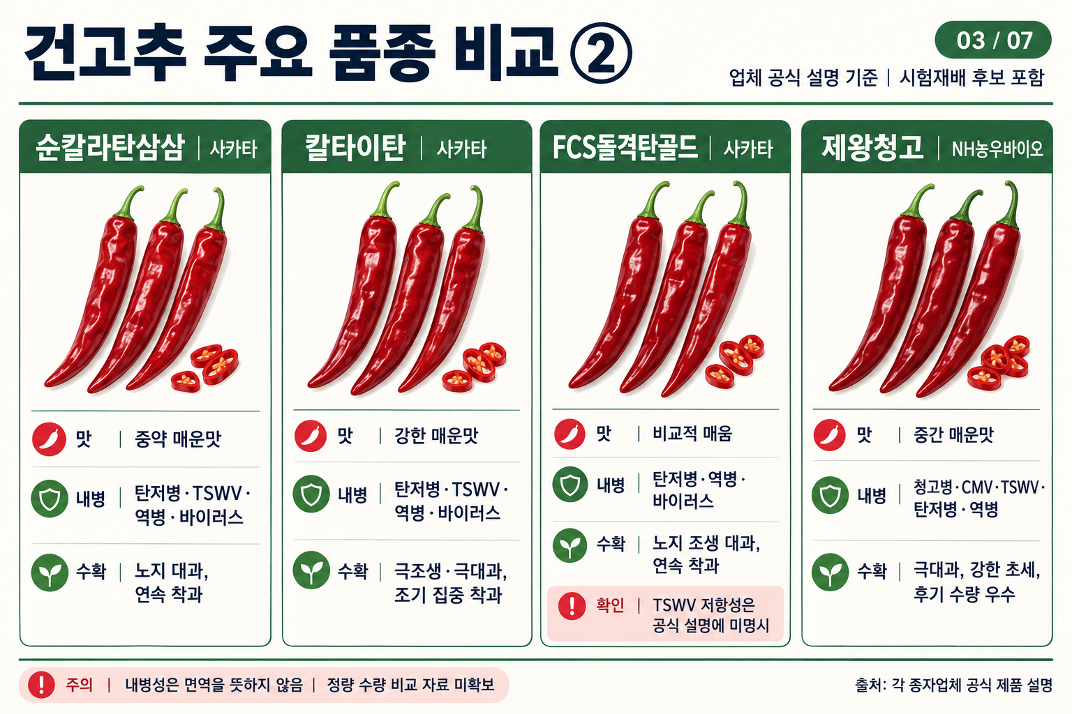 03_고추_주요품종_비교2.png