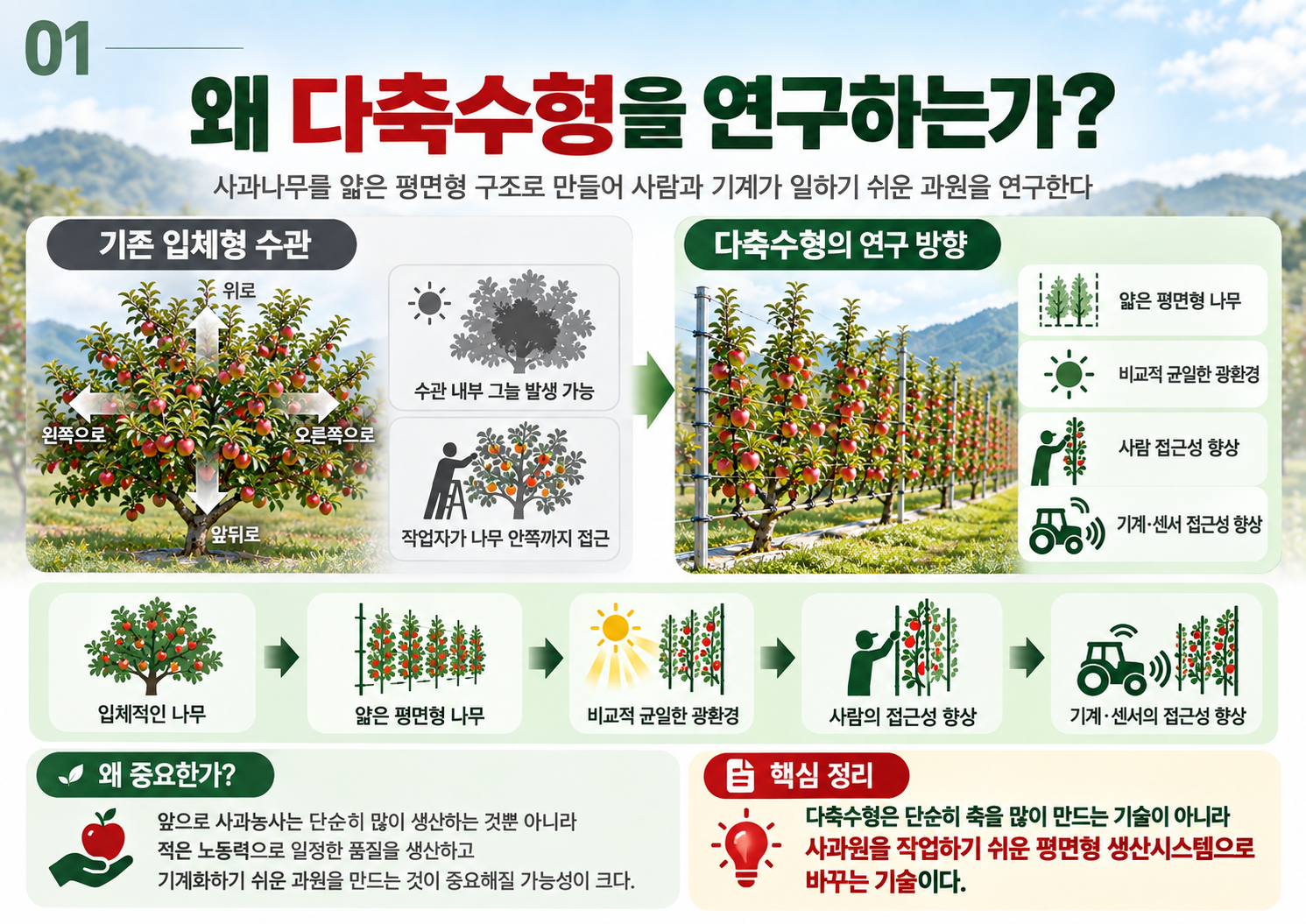 01_왜_다축수형을_연구하는가.png