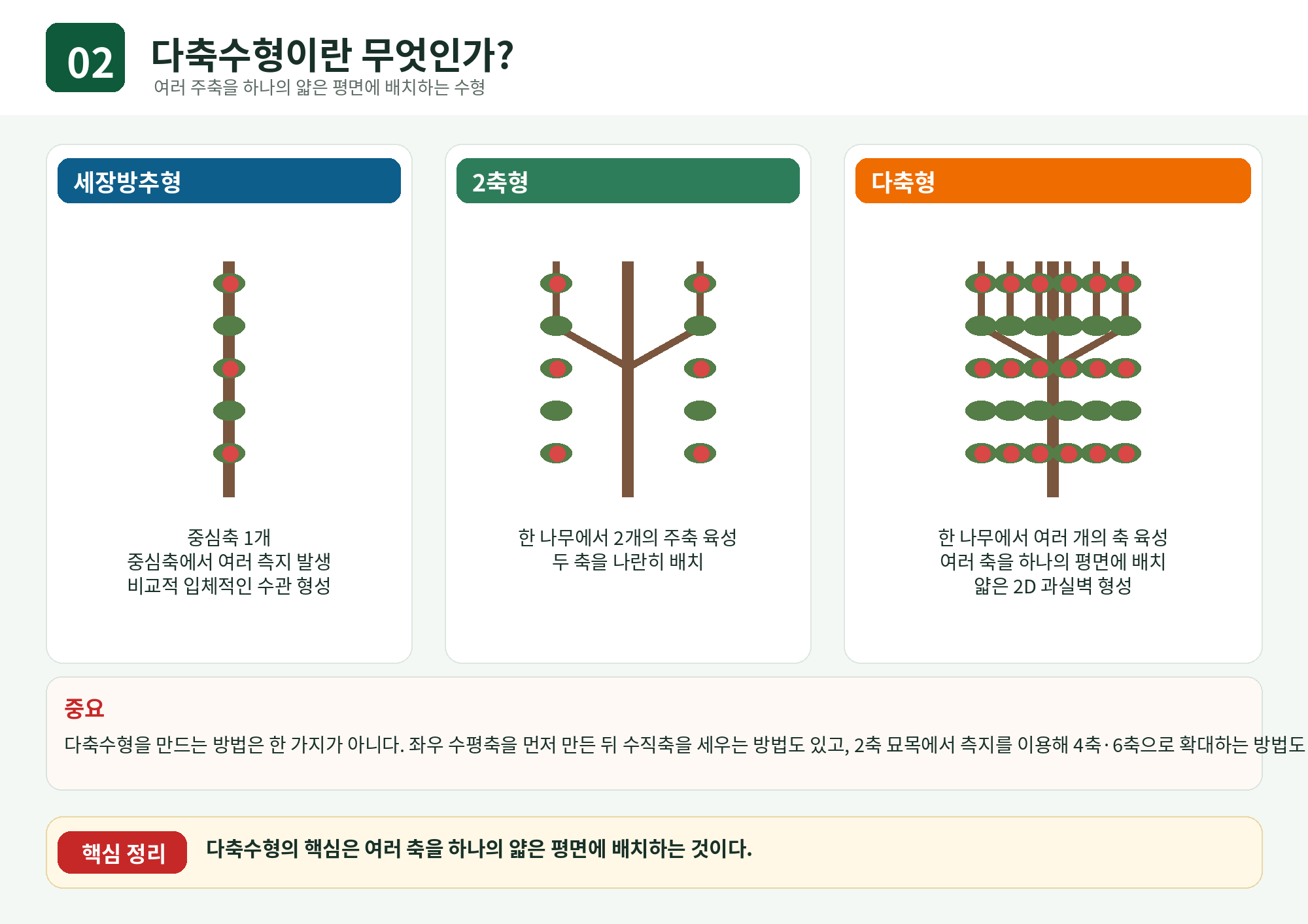 02_다축수형이란_무엇인가.png