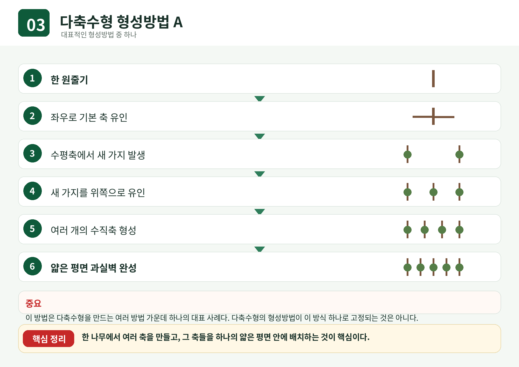 03_다축수형_형성방법_A.png
