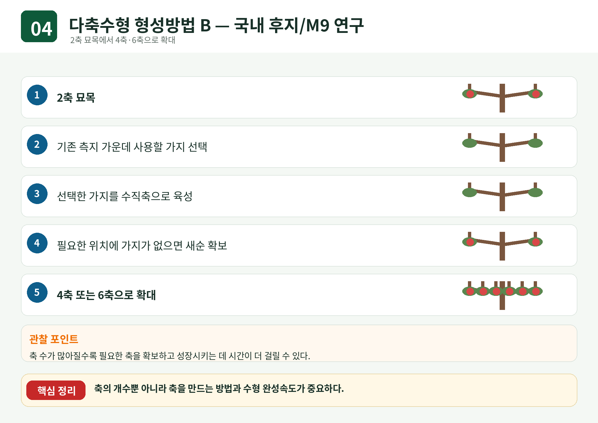 04_다축수형_형성방법_B.png