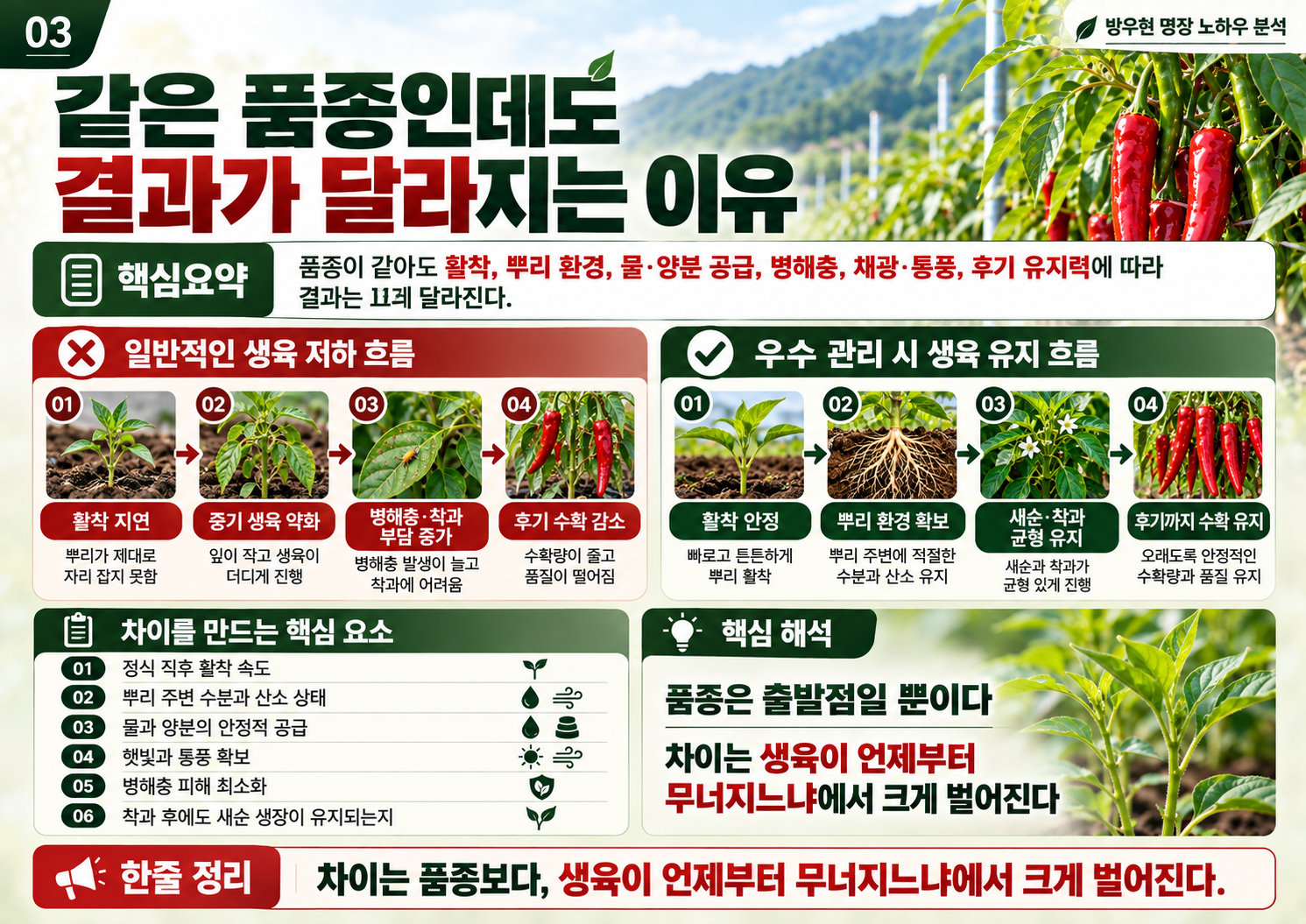 03_방우현_명장_같은품종_생육차이.png
