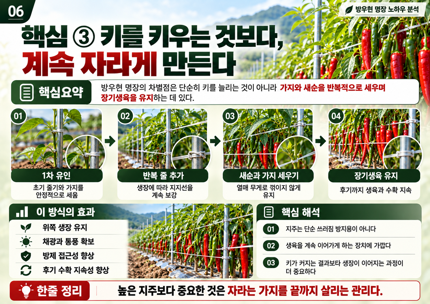 06_방우현_명장_반복유인과_장기생육.png