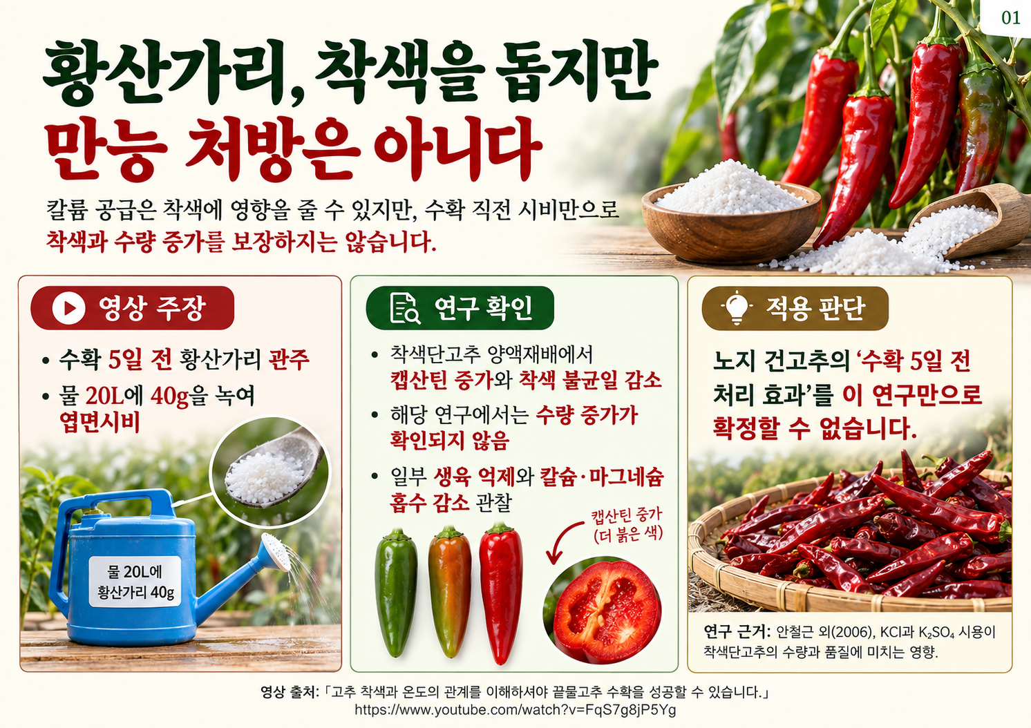 01_황산가리와_고추착색_효과와한계.png