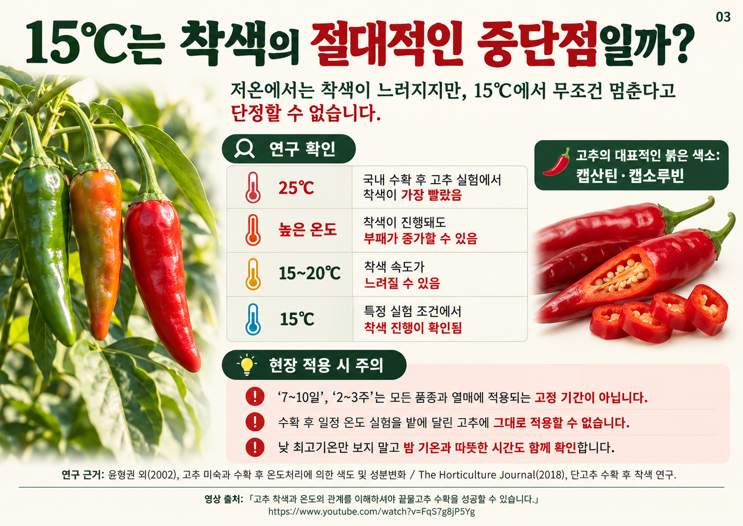 03_고추착색과_온도_15도기준검토.png