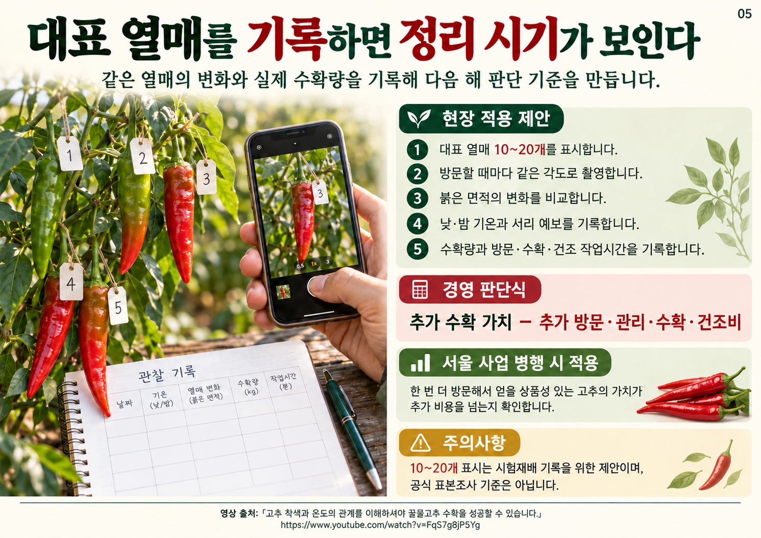 05_끝물고추_착색기록과_추가수확판단.png