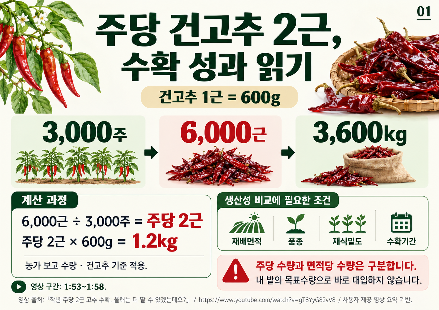 01_건고추_수확성과.png