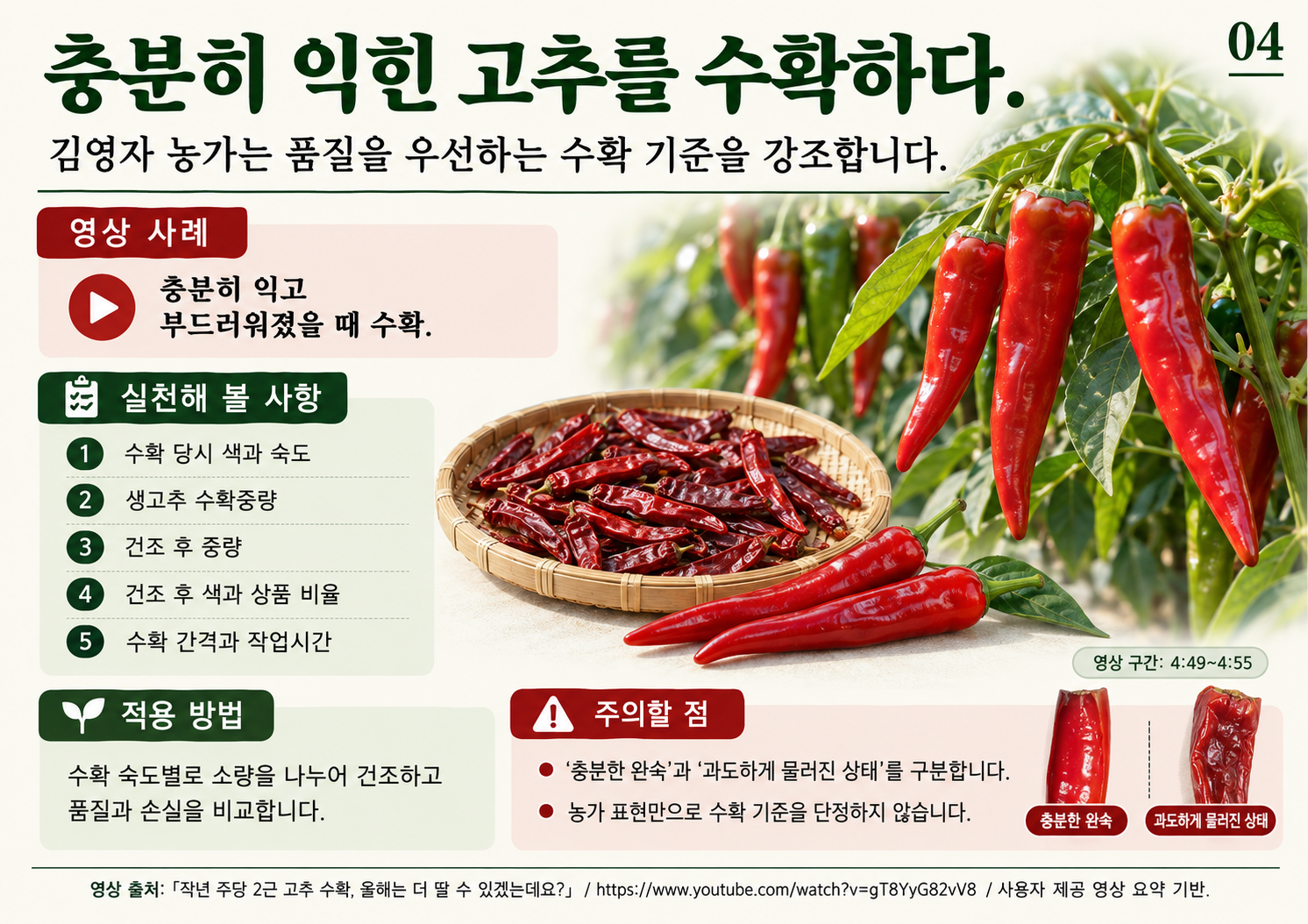 04_완숙수확과_품질.png