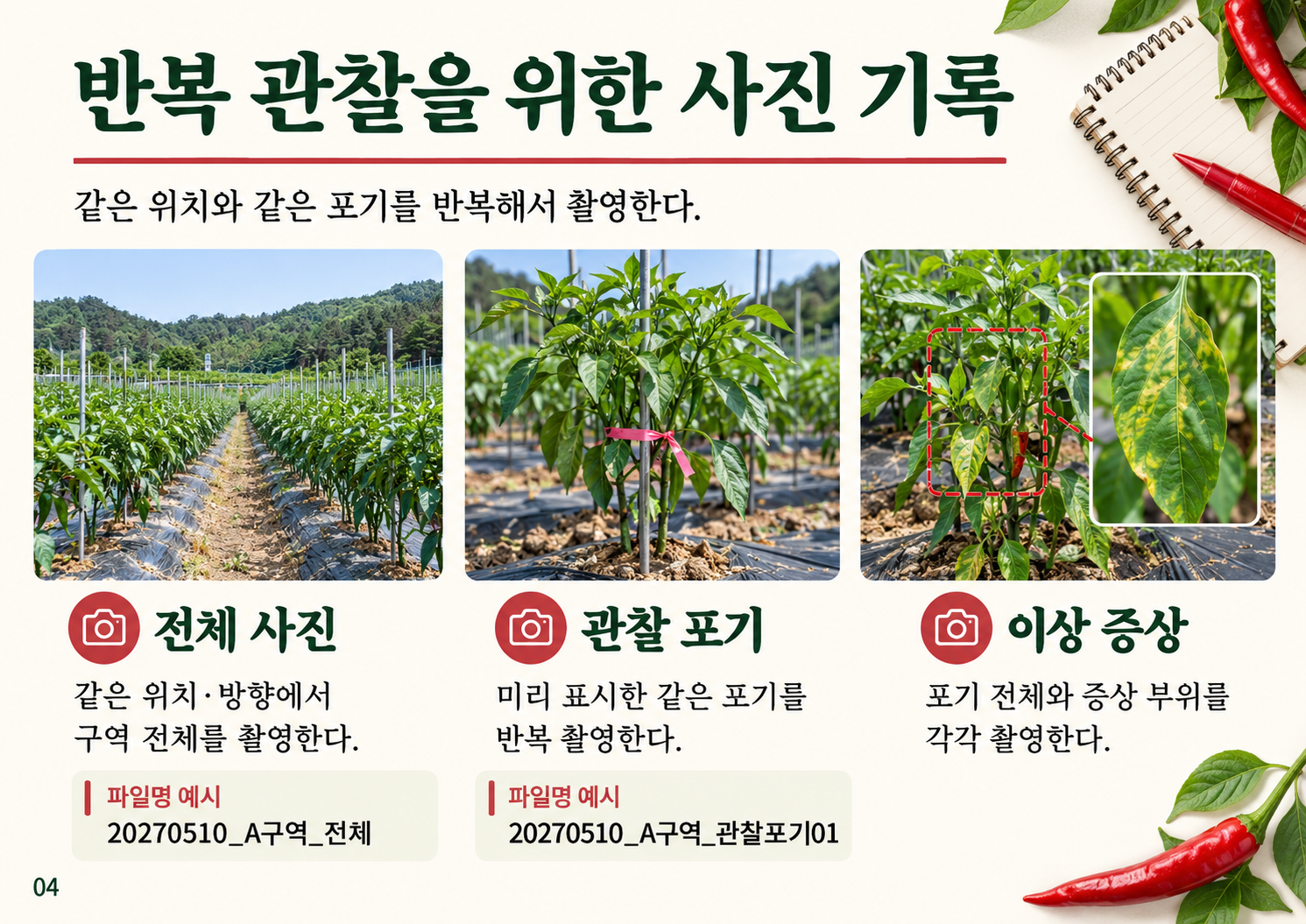 04_사진기록.png