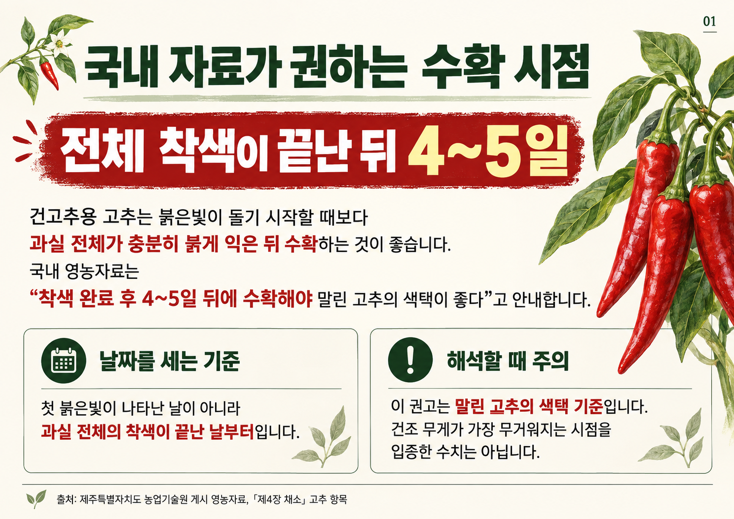01_건고추_국내권장_수확시점.png