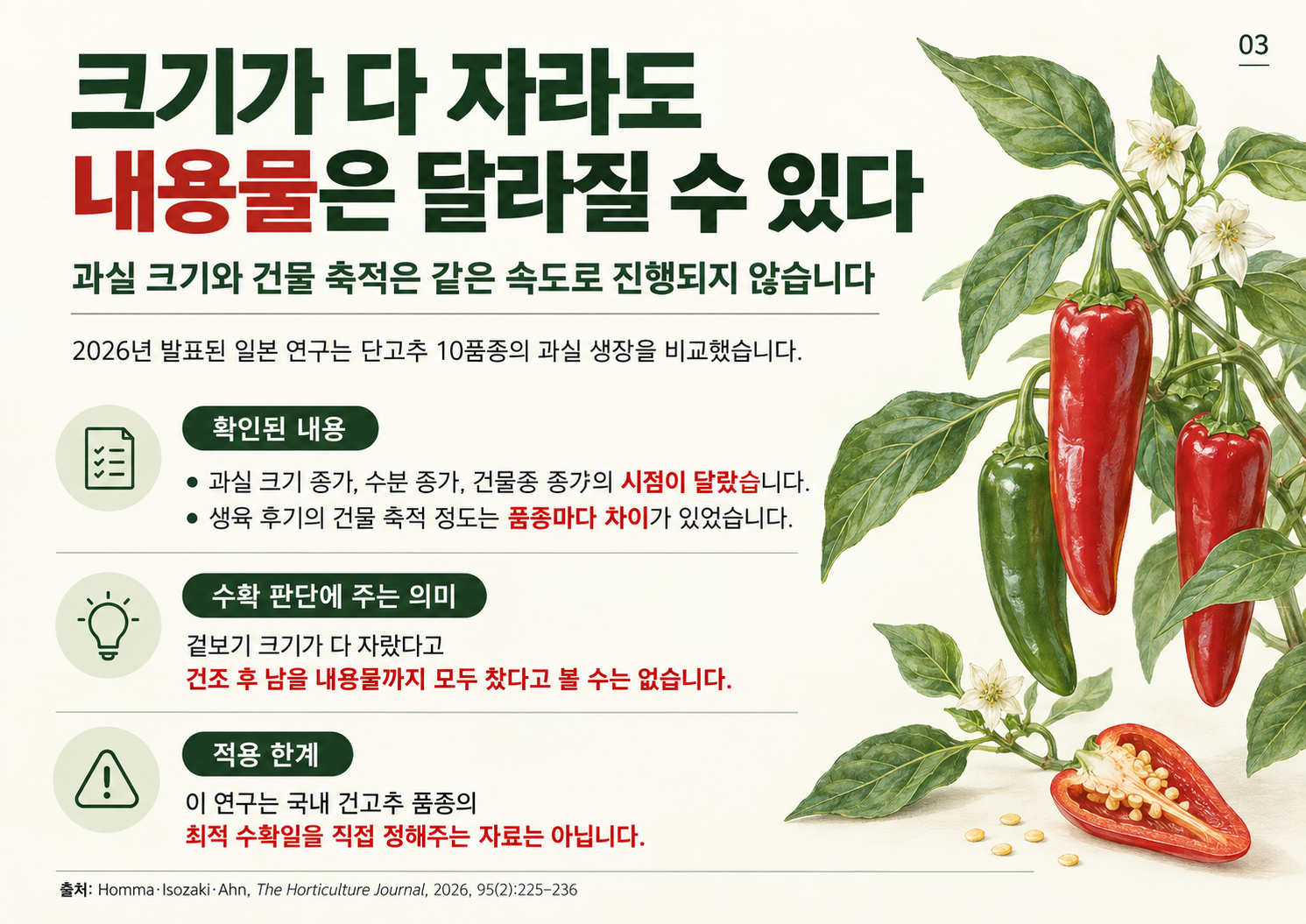 03_건고추_과실크기와_건물축적.png