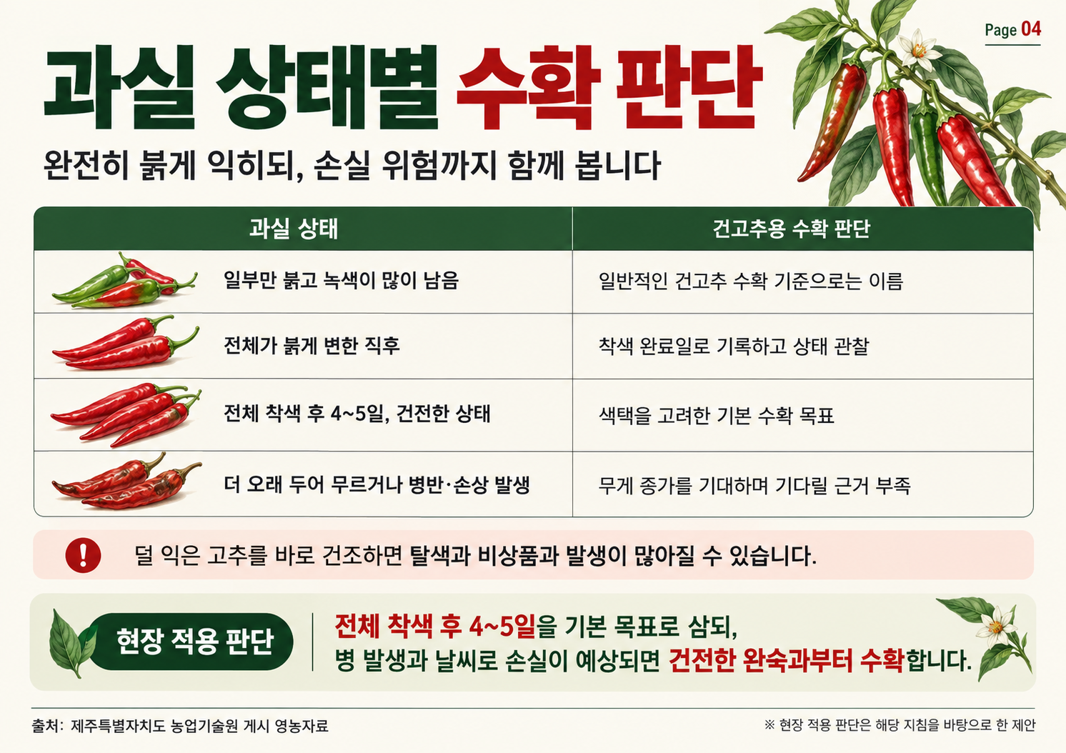 04_건고추_과실상태별_수확판단.png