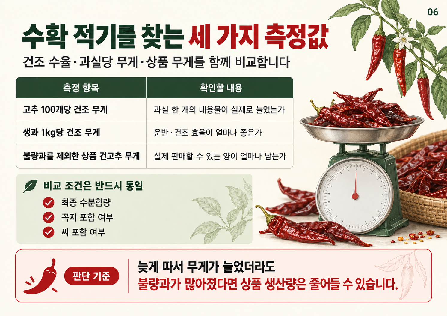 06_건고추_세가지_측정값.png