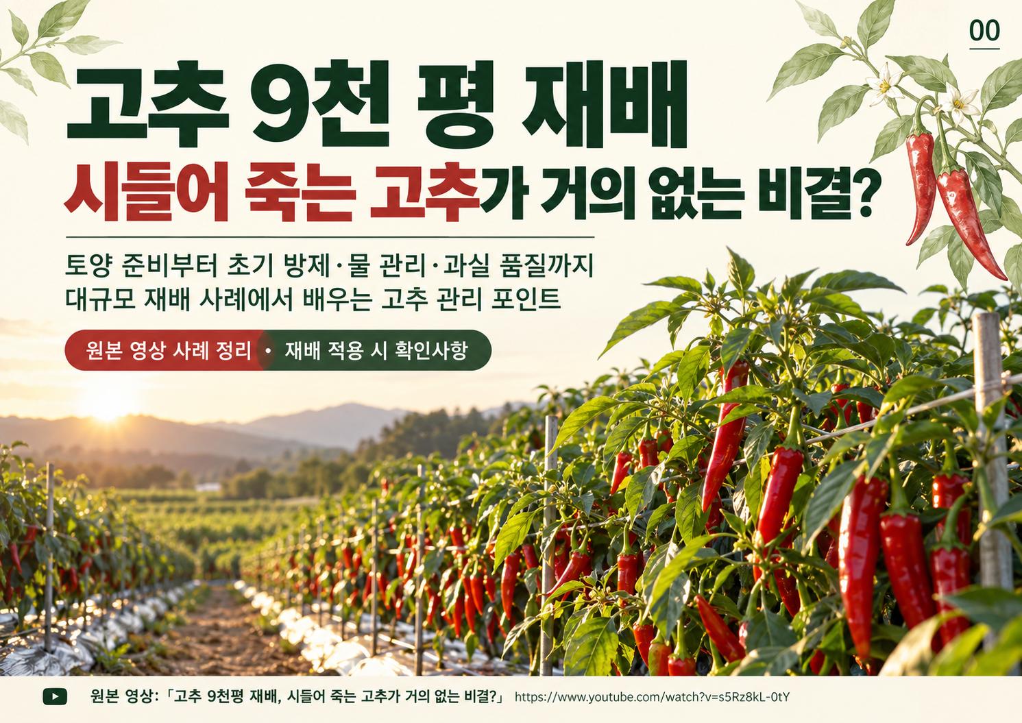 00_고추9천평_표지.png