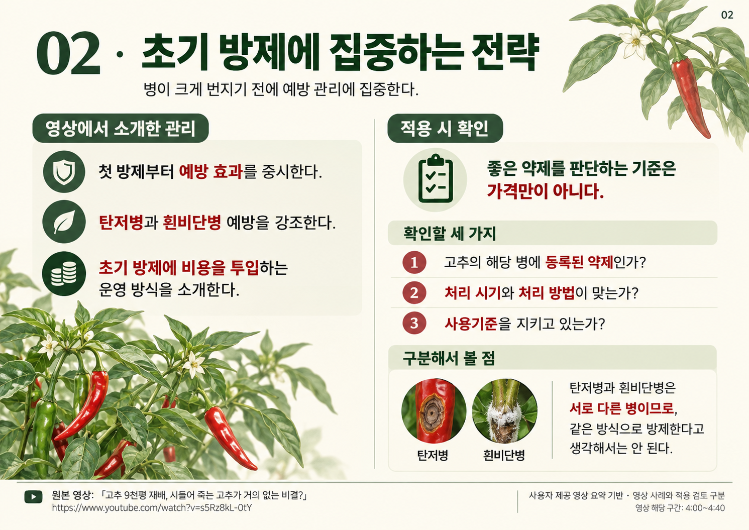 02_고추9천평_초기방제.png