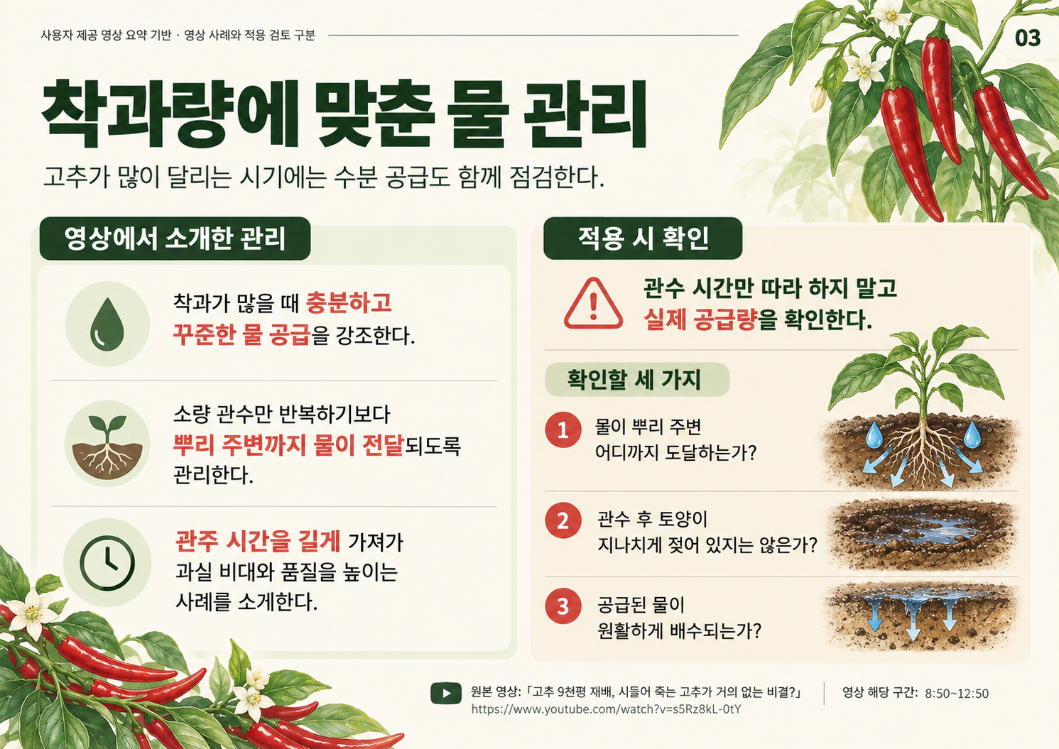 03_고추9천평_착과량과_물관리.png