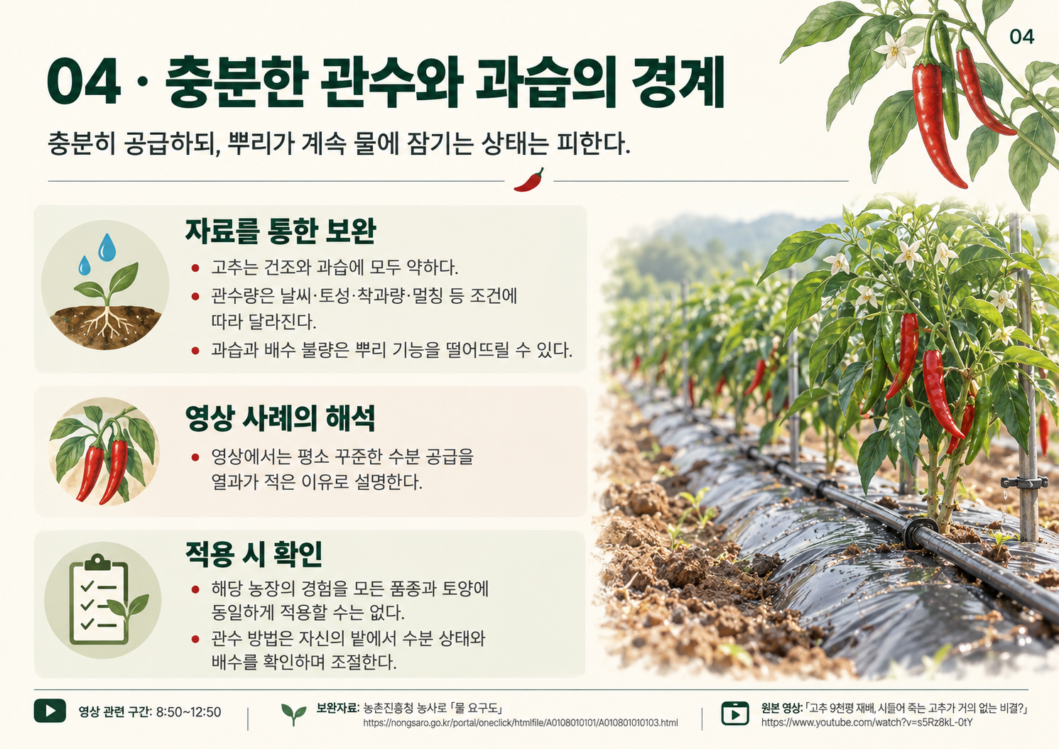 04_고추9천평_관수와_과습.png