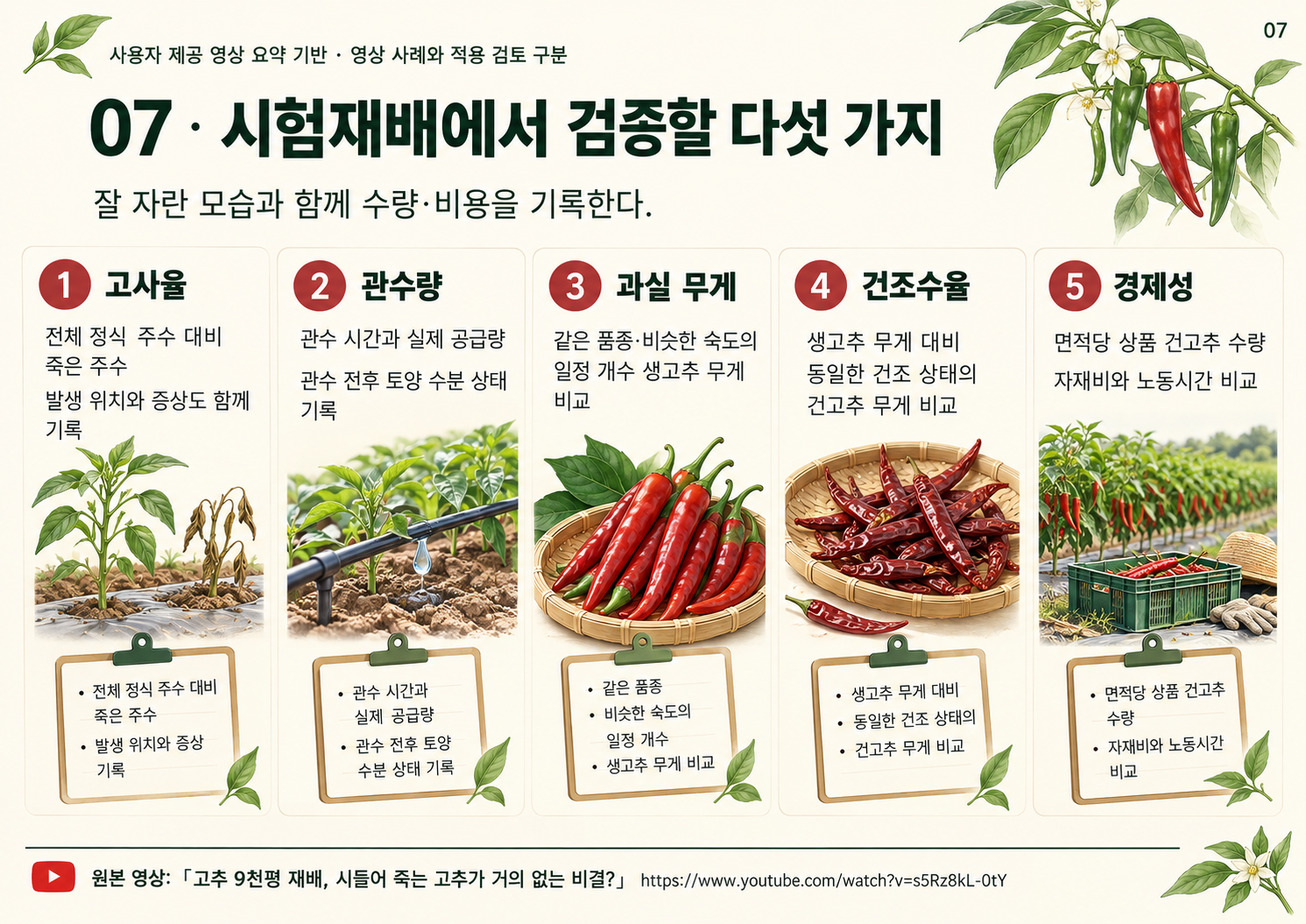 07_고추9천평_시험재배_검증항목.png