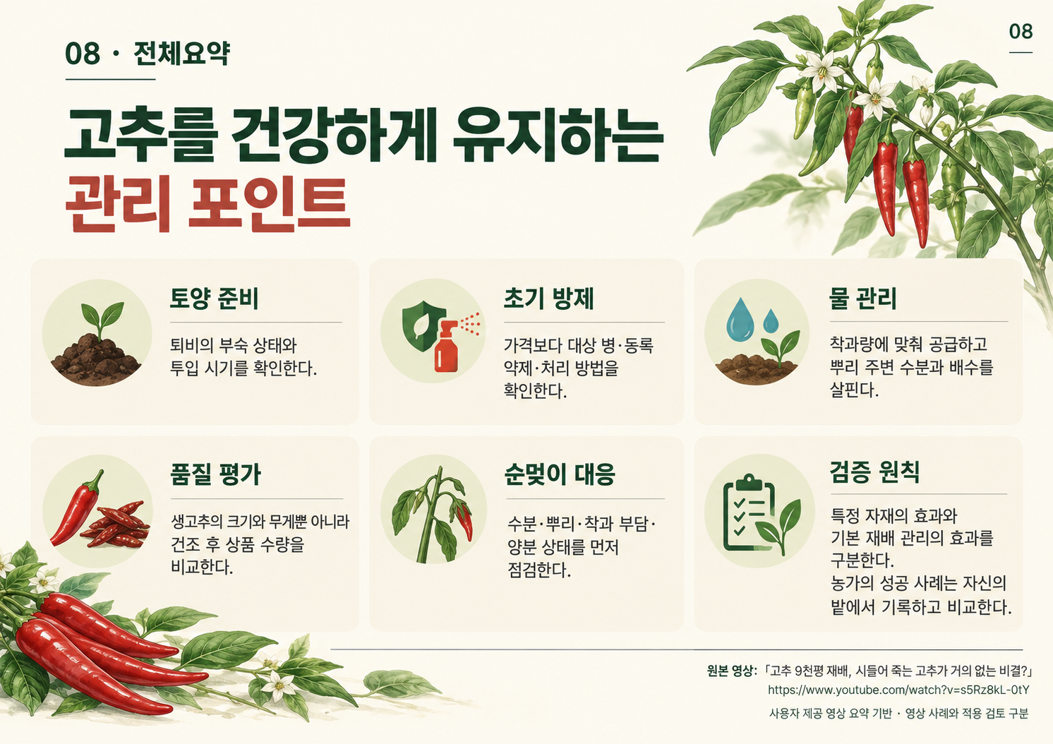 08_고추9천평_전체요약.png