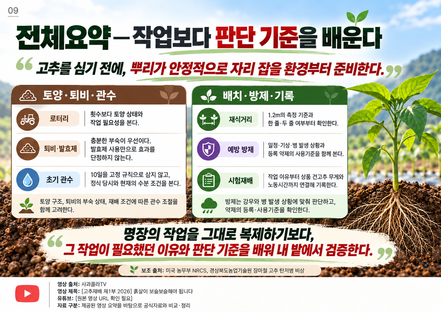 09_전체요약_판단_기준.png