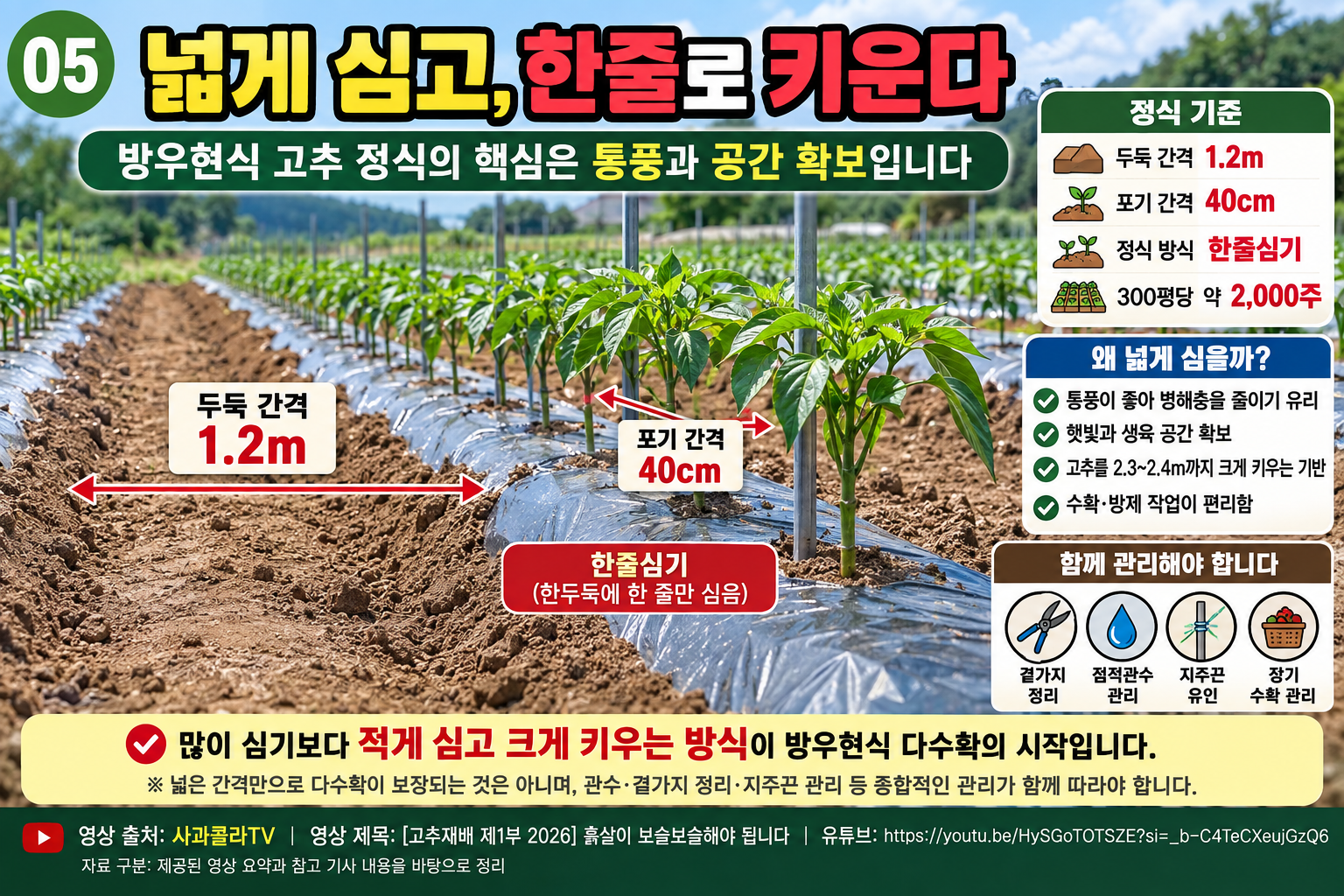 고추-한줄심기-정식-가이드.png