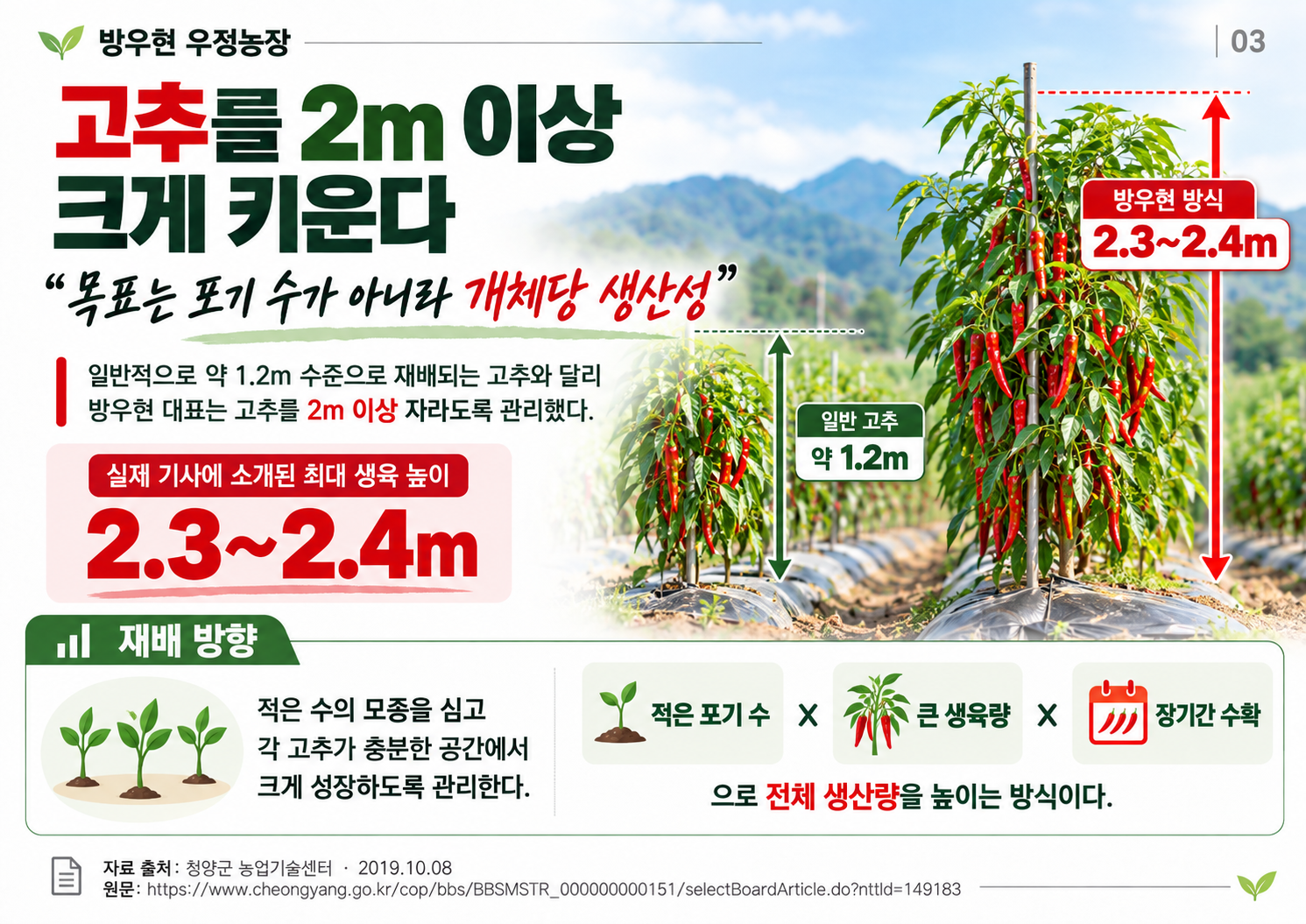03_2m이상_개체당생산성.png