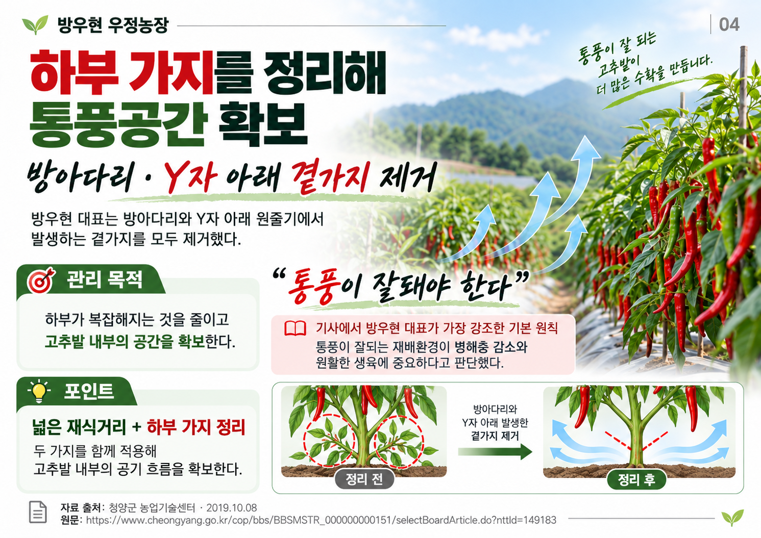 04_하부가지정리_통풍공간.png