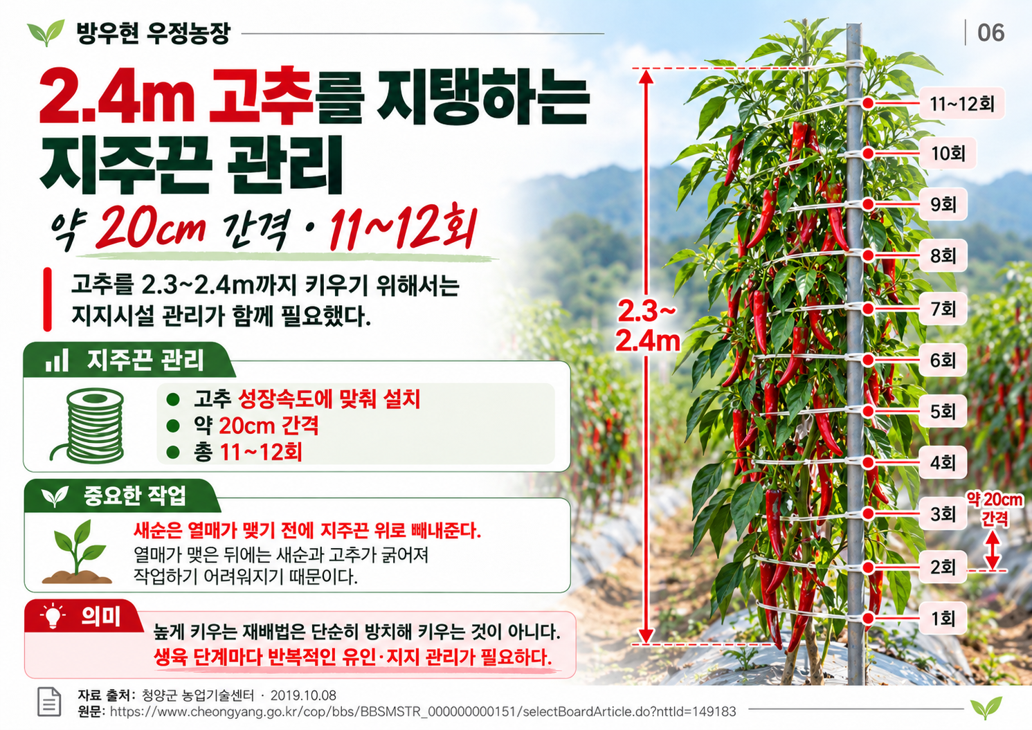 06_지주끈_20cm_11-12회.png