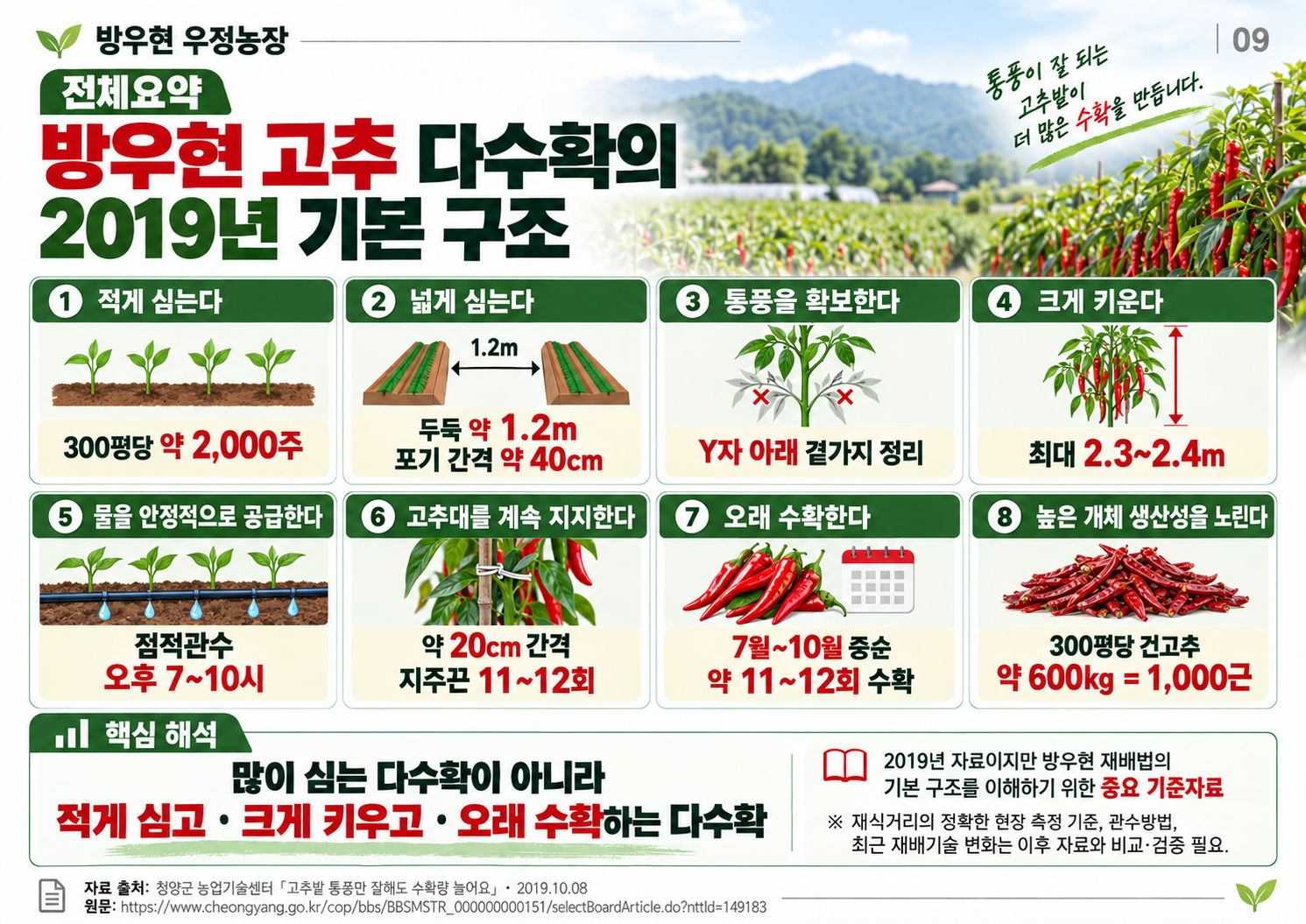 09_전체요약_2019기본구조.png