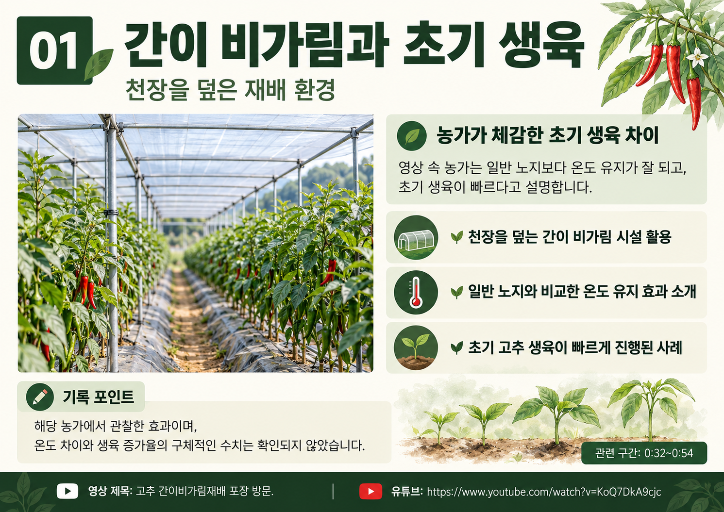 01_정은상_고추간이비가림_초기생육.png