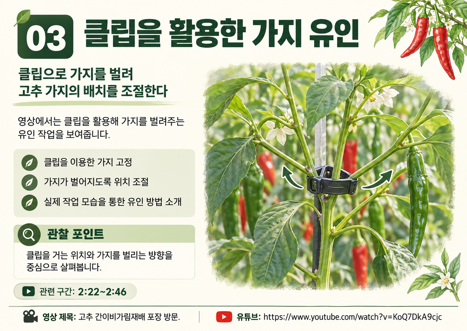 03_정은상_고추간이비가림_클립_가지유인.png