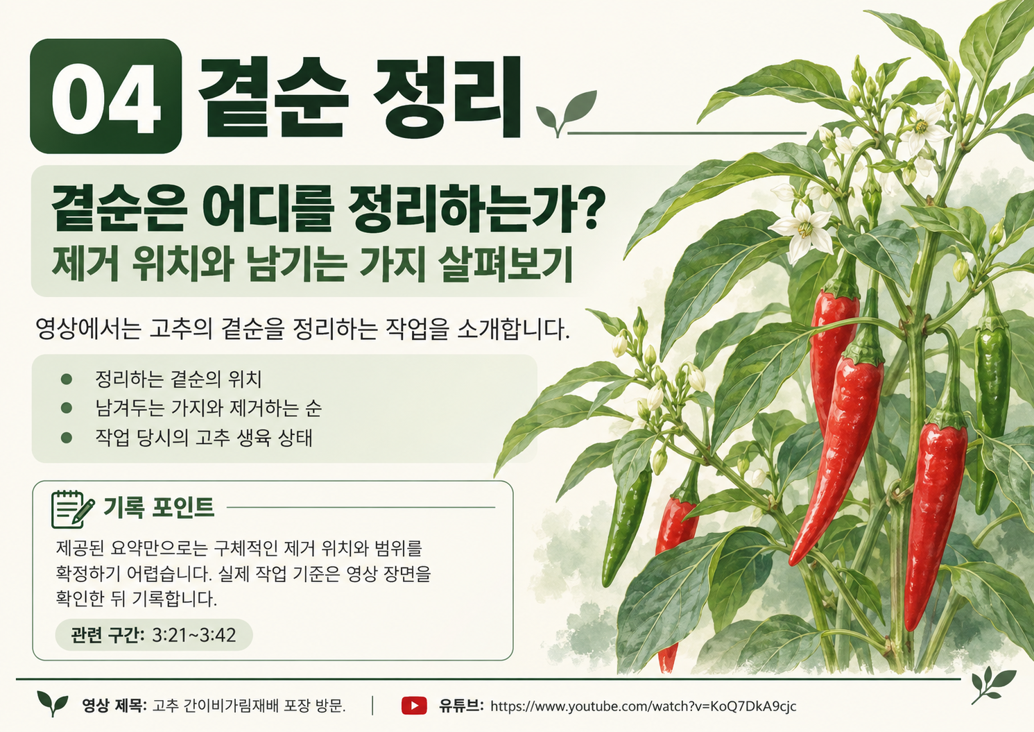 04_정은상_고추간이비가림_곁순정리.png