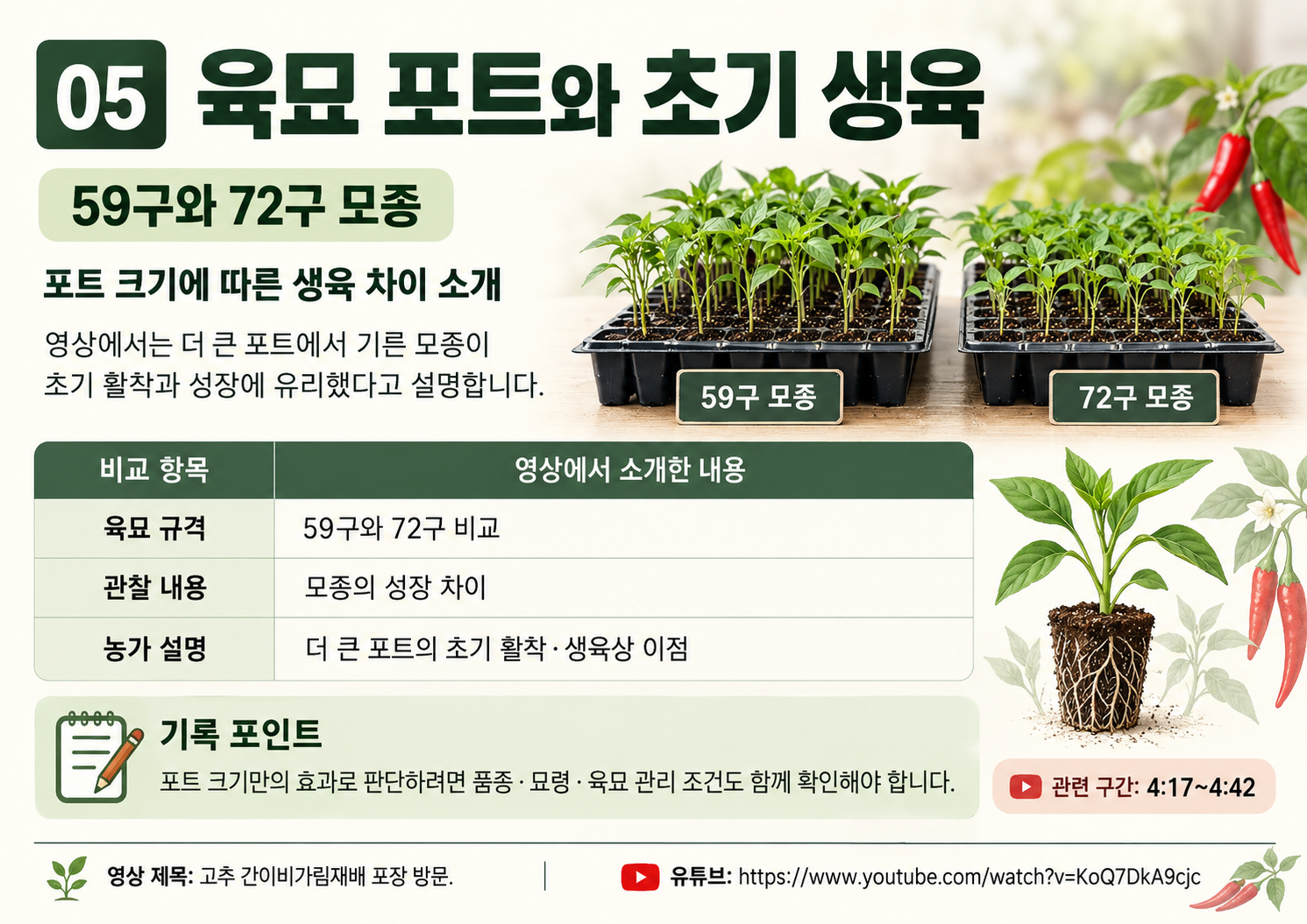 05_정은상_고추간이비가림_육묘포트.png