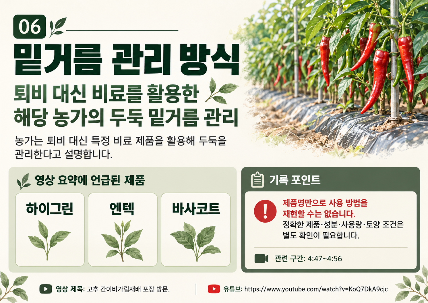 06_정은상_고추간이비가림_밑거름관리.png