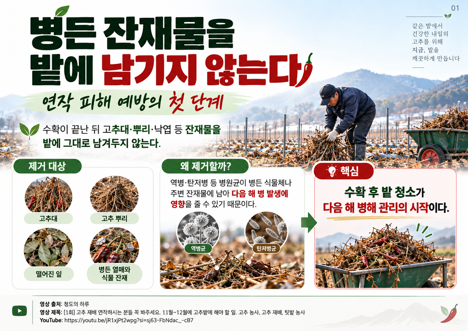 01_병든잔재물_제거.png