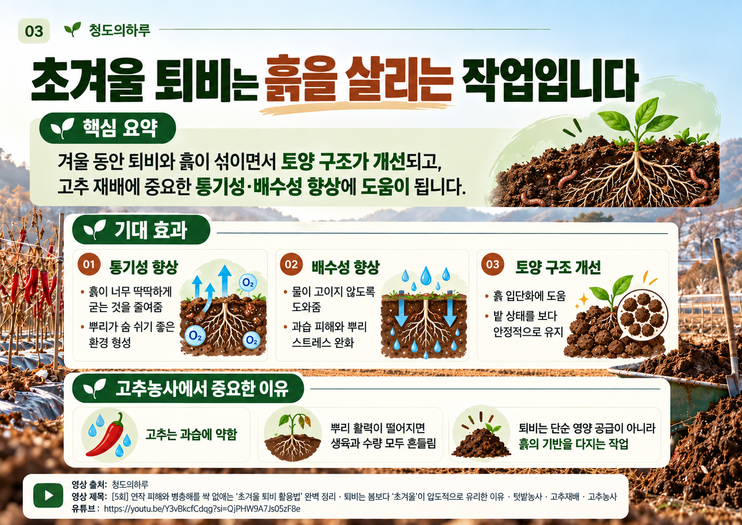 03_soil_improvement.png