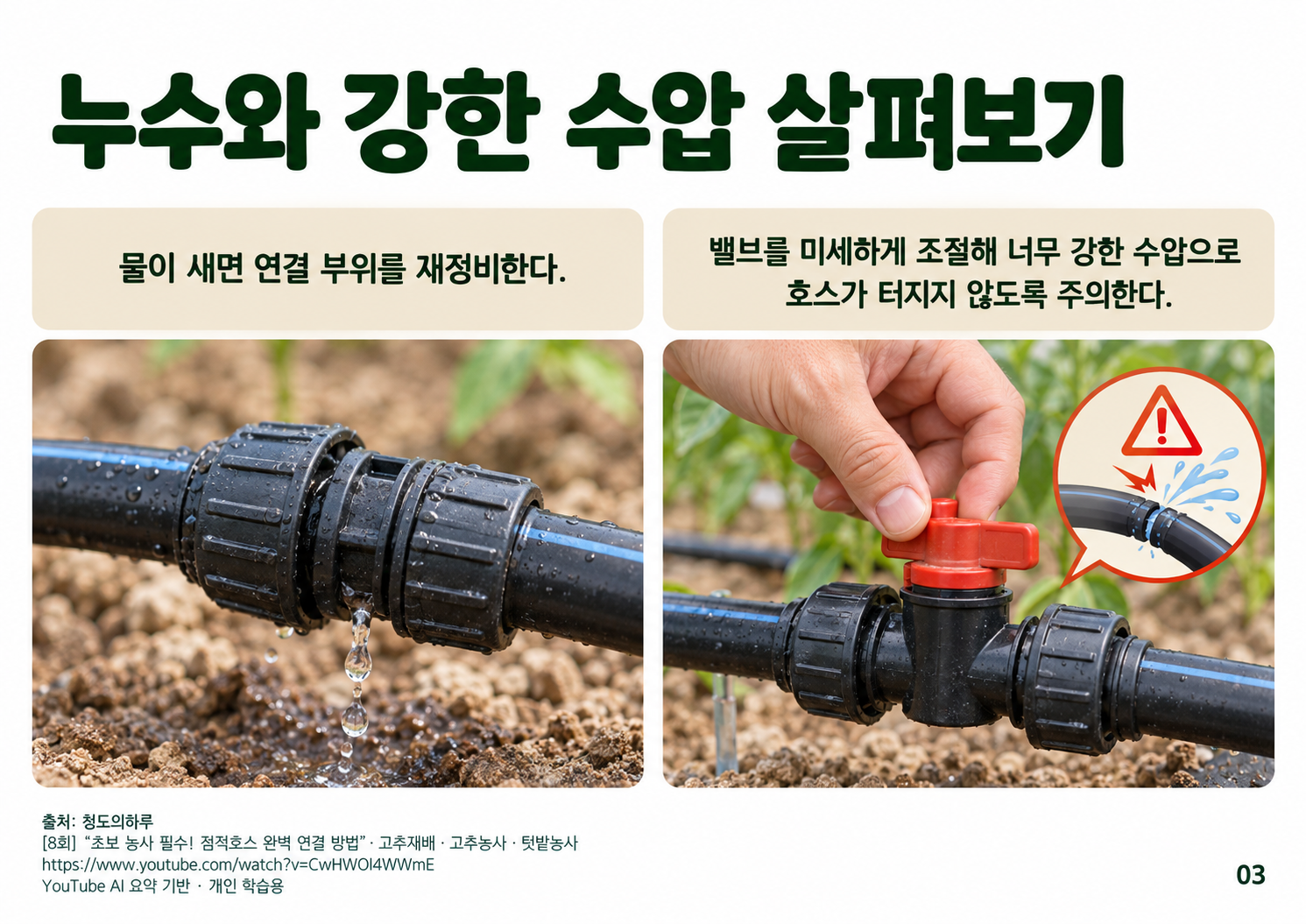 03_본문03.png