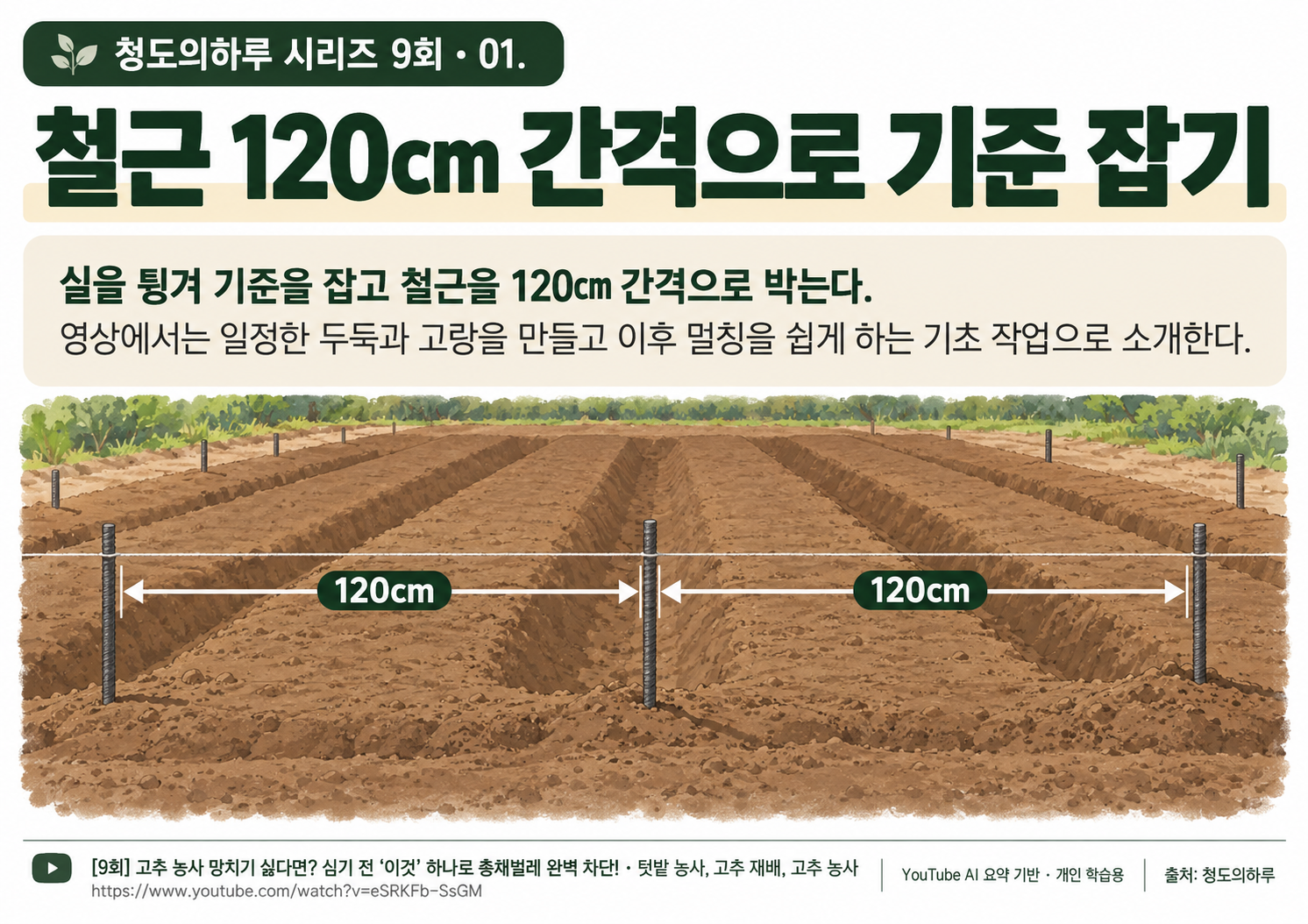 01_본문01.png